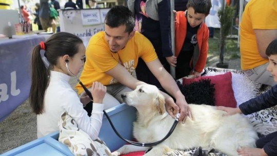 FOTO/Konkursi për kafshët shtëpiake, lojëra dhe argëtime