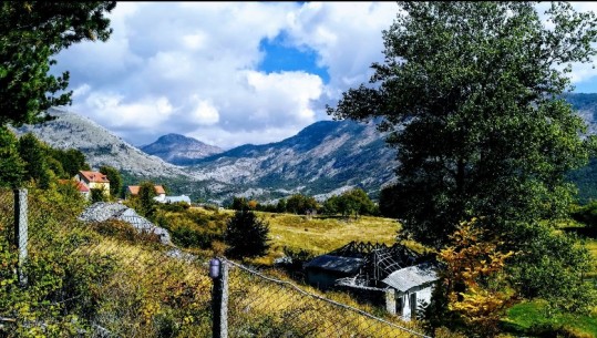 Falsifikimi/ Sekuestrohet toka 25.000 m2 në Razëm, 14 ish-zyrtarë të lartë drejt hetimit penal