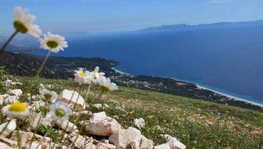 Qeveria britanike: Udhëtoni në Shqipëri, por …kujdes kur i jepni makinës