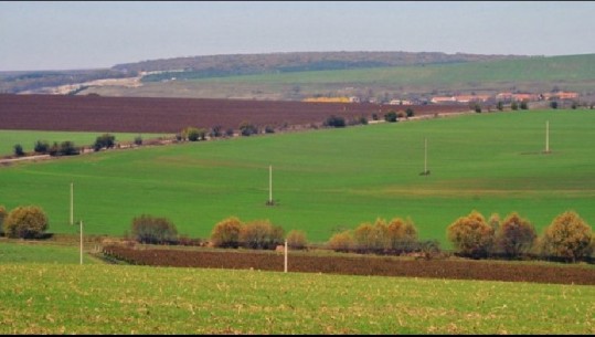 Tokat bujqësore me qira kthehen në troje po u përdorën për agrobiznes