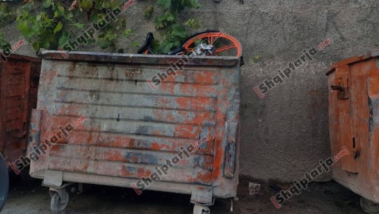 Tiranë, shkatërrohet dhe hidhet në një kazan mbeturinash biçikleta Mobike