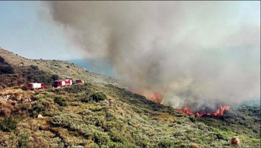 Rindizen flakët në Greqi, dy vatra të reja në Kalamaki dhe Vrondonero/ Video