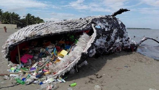 Çfarë po ndodh me botën tonë? Katastrofa e vërtetë e ndotjes së ujërave (FOTO)