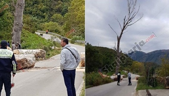 Rrëzohen pemët në Permet, bllokohet Ura e Leklit (FOTO)