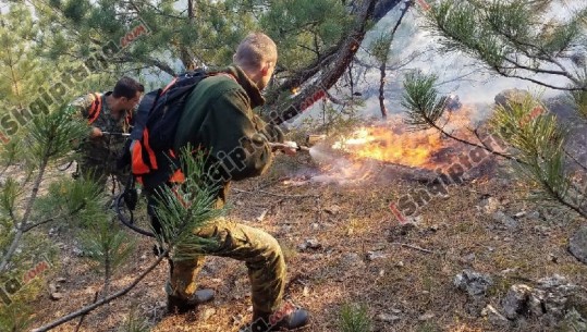 Zjarr në Fushë Arrëz, kryetari i bashkisë apel në Report Tv: Ndihmë! Do shkrihen dy fshatra (VIDEO)