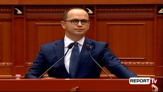 Rikthimi i vizave me Holandën? Bushati: Nuk ka vend për panik, por s'duhet ta neglizhojmë 