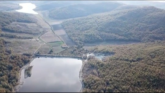 Dikur e reduktuar drastikisht, Kodra e Divjakës është sërish një bukuri natyrore  (Video)