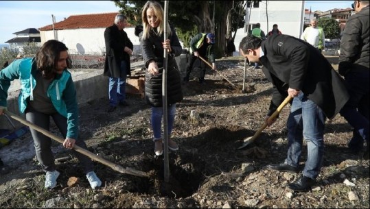 Mbetjet urbane zëvendësohen me ullinj e pemë bliri në Krujë, Çuçi: Dhurata më e mirë që u bëjmë fëmijëve