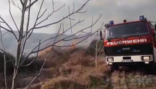 Përfshihet nga zjarri një sipërfaqe me ullinj dhe shkurre në Patos (VIDEO)