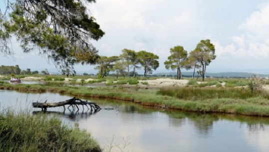 Vendi perfekt për tu vizituar në vjeshtë...aromë pishash, fluturim i pelikanëve e flamingove