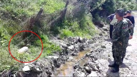 Frikë tek banorët, gjenden tre predha gjatë 24 orëve në Vlorë (VIDEO)