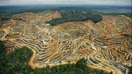 Dita Botërore e Mjedisit! Pamjet më të paimagjinueshme nga planeti Tokë (FOTO)