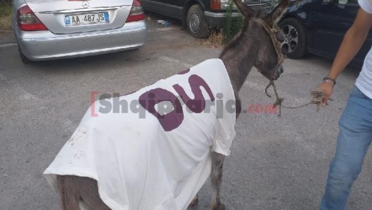 Mblidhen militantët e parë të PD, zbuloni mbështetësin e veçantë të Bashës në protestë