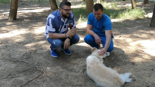 Qethja ndihmon kafshët të mos kenë vapë? E kemi ditur të gjithë gabim, ja ç’thotë veterineri (VIDEO)