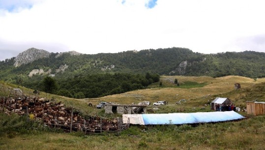 Stane me panele diellore në Shëngjergj, Çuçi: Vitin tjetër subvencion për zgjerimin e tufave  (FOTO+VIDEO)