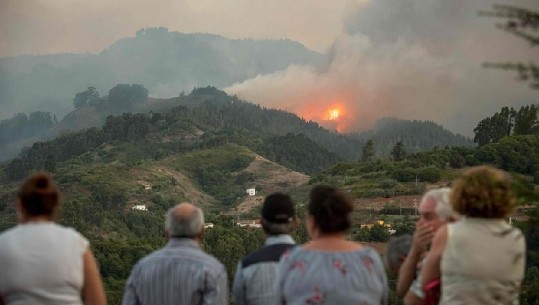 Gran Canaria, digjet ishulli i ‘pranverës së përjetshme’, evakuohen më shumë se 8000 banorë (VIDEO)