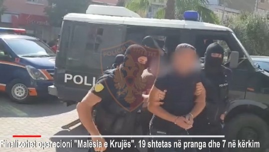 Mega-operacioni 'Malësia e Krujës' vë në pranga 19 persona, mbillnin kanabis në zona të pyllëzuara (VIDEO)