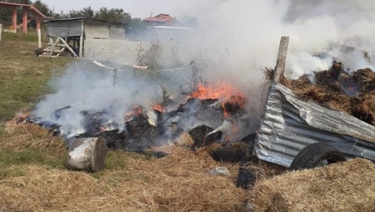 Marrin flakë ballat e barit, zjarri rrezikoi banesat dhe stallat në Fier (Pamjet)