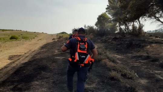 Digjen pisha e shkurre, vijon zjarri në kodrat e Cakranit në Fier