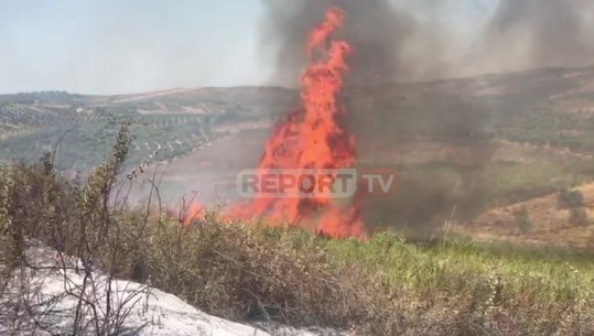 Fier/ Zjarri shkrumbon ullishten,  banorja: Kam 7 vite që lë djersë për fëmijët e mi (VIDEO)