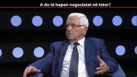 Ralf Gjoni: Ku janë 'peshqit' e mëdhenj? Neritan Ceka: Turp po u hapën negociatat (VIDEO)