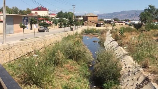 'Të gjithë fëmijët janë me bark, të vjella e puçra'...Në Voskop bashkëjetesë me ujërat e zeza