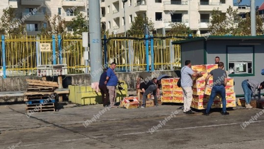 Frika për drogë në kontenierin me banane në Port, kontrolle arkë më arkë...por alarm fals 