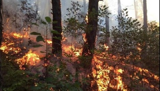 Zjarr në Devoll, e pamundur ndërhyrja nga zjarrfikëset! Banorë hapin breza dherash 