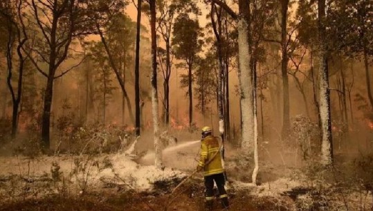 Australi, arrestohen 183 persona të akuzuar për zjarrvënie, rrezikojnë 21 vite burg