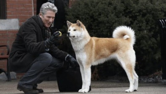 Fotoja e rrallë e Hatchiko-s, qeni që kaloi pjesën tjetër të jetës duke pritur të zotin 