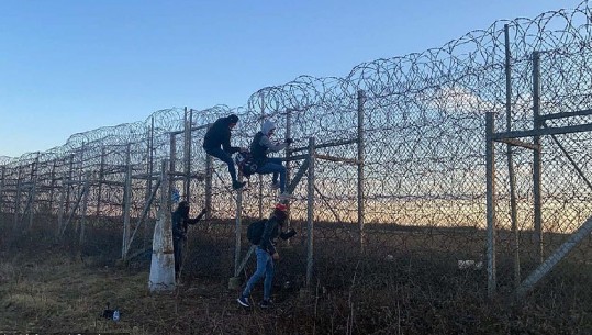 Tela me gjemba, qen dhe patrulla/Nis gjuetia për migrantët përgjatë rrugës Ballkanike. Erdogan: Ky është vetëm fillimi (VIDEO)