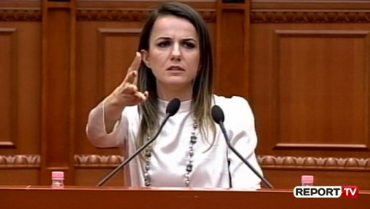 Hajdari-Ramës: Në 7 vite të qeverisjes tuaj vendi ka lulëzuar nga droga! I keni bërë organizatat kriminale më të rrezikshmet në Europë (VIDEO)