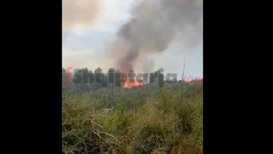 Përfshihet nga zjarri mali i Krujës, dyshohet e qëllimshme, kërkohet ndërhyrje nga ajri  (VIDEO)