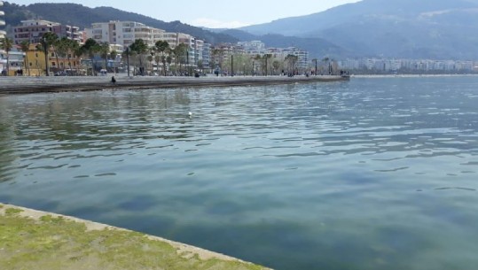 Në Vlorë bëhet e zakontë, qytetarët nuk i rezistojnë rrezeve të diellit, i shpërndan policia (VIDEO)