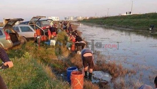 Çahet tubacioni, masakër mjedisore në Porto Romano, tonelata në det, qytetarët mbushin naftë me bidonë 