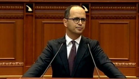 Debat brenda PS-së për shtesën në koncesionin e Porto-Romanos! Bushati: Të ndahemi me oligarkinë! Balla: E votove vetë 6 vite më parë