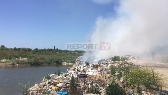 Gjoba s'bën punë! Në Rrogozhinë vijon ndotja alarmante, mbetjet urbane ende digjen pranë Shkumbinit (VIDEO)