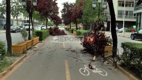 Temperatura të larta e erë e fortë, stuhi Sahariane në Tiranë, meterologu: Na pret një Verë e nxehtë (VIDEO)