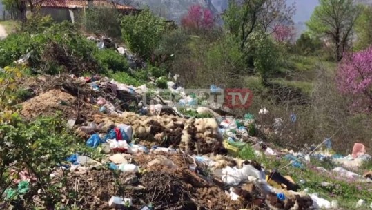 Fshati i ‘mbytur’ nga plehrat, ku shkojnë taksat? Banorët e Qafrrapës: Infeksion i gjallë, viruset janë sheshit