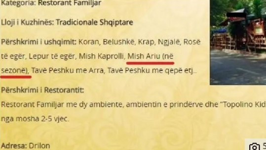 Shqiptarët hanë arinj?! Këtë turp nuk duhet ta mbajmë në kurriz