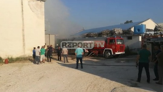 Lushnjë, përfshihet nga flakët një punishte e përpunimit të drurit (VIDEO)