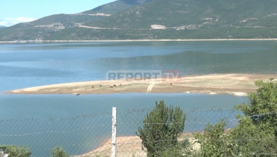 Thahet Fierza, bie rezerva energjetike në kaskadë (VIDEO)