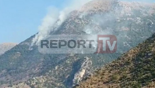 Zjarrvënie e qëllimshme në Gjirokastër, policia shoqëron 4 persona  