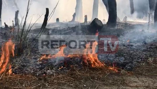 Forcat e ushtrisë mbërrijnë në Seman të Fierit për të shuar vatrat e zjarrit