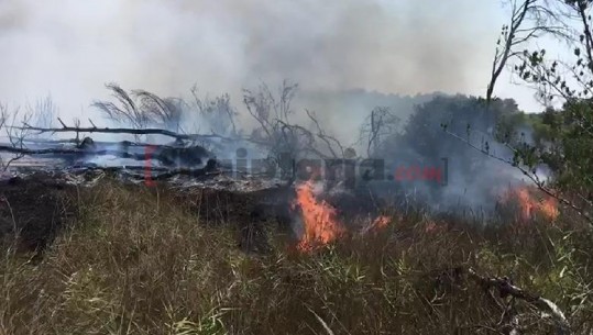 Digjen dy hektarë bimësi në Derven të Fushë-Krujës, shpëton mrekullisht kisha e fshatit