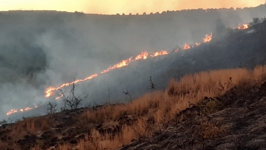 Në 24 orë 3 vatra zjarri/ Flakët 'përpijnë' kurorën e Peqinit! Në Fushë-Krujë shpëton kisha...mbi 5 ha pemë e shkurre digjen në Divjakë