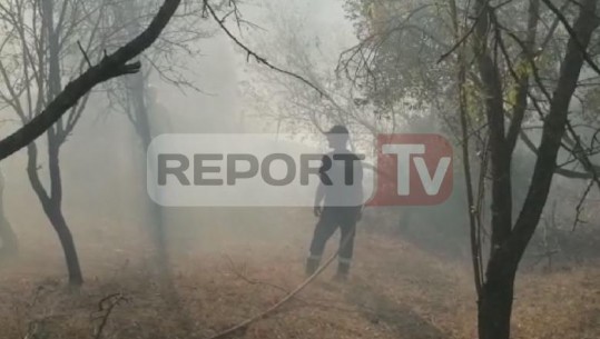 Zjarr në fshatin Vasjar të Memaliajt, era favorizon flakët, rrezikohen banesat afër