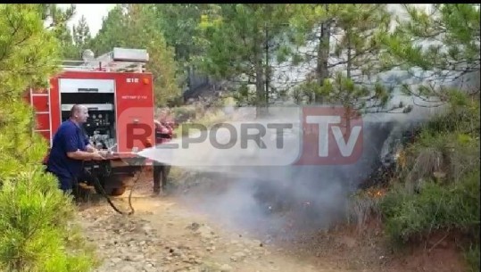 Dibër, digjen 15 hektarë pishë në malin e Balgjajt, kërkohet ndërhyrje nga ajri