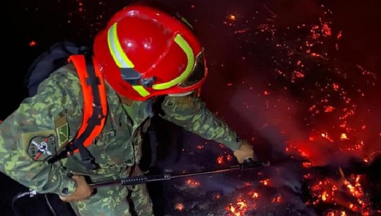 Zjarre të qëllimshme në 8 qarqe, Xhaçka: FA e angazhuar nga toka e ajri! Nuk do kursehet askush që i vënë flakën pyjeve