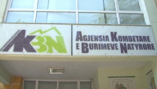 Zbardhet skema se si biznesmenët dhe punonjësit e AKBN i shkaktuan shtetit 1.5 milion USD dëme, rolet dhe detyrat